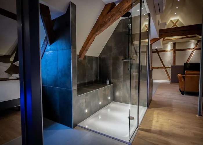 SERENITY Colmar - Gîtes de Prestige 4 et 5 étoiles - 2, 4 et 6 personnes- Centre Historique